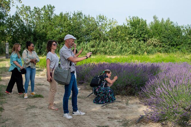 Lavender Harvesting and Distillation Workshop in Bellegarde - An Inside Look at the Lavender Workshop Experience