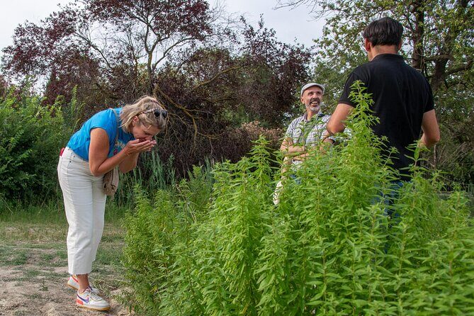 Lavender Harvesting and Distillation Workshop in Bellegarde - Who Would Benefit from This Experience?