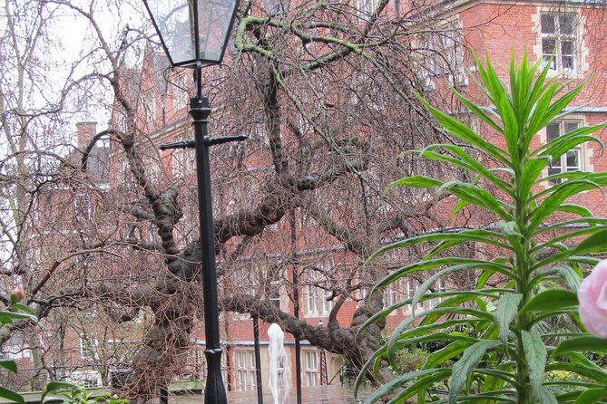 Law in London Private Tour - Is This Tour Right for You?