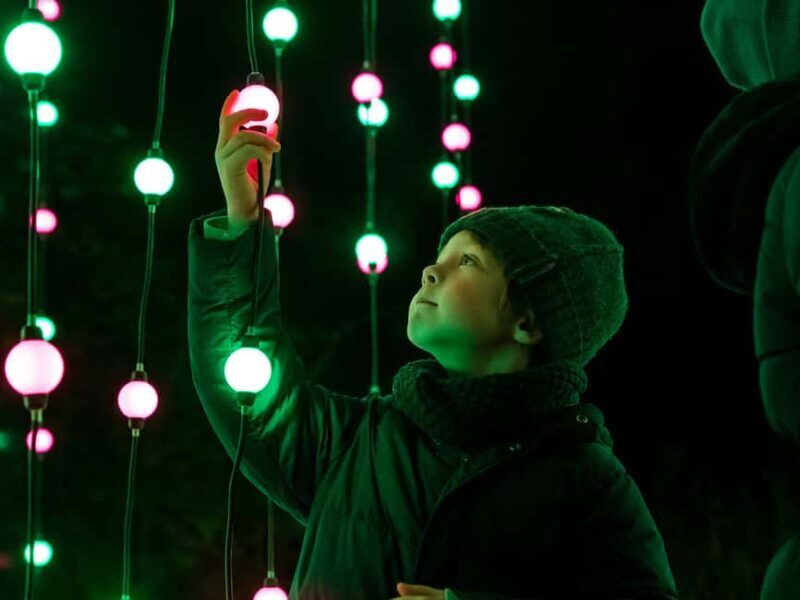 Laxenburg Palace Gardens: ILLUMINA Austria's biggest light garden - ticket - Key Points