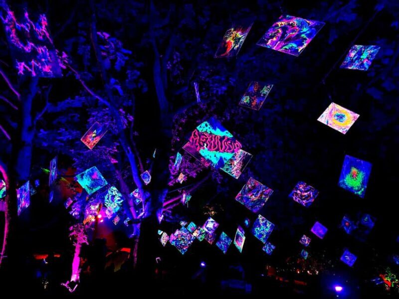 Laxenburg Palace Gardens: ILLUMINA Austria's biggest light garden - ticket - What Is the Laxenburg Palace Gardens Light Experience?