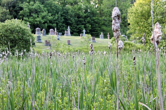 Layers of Natural History: Picton Nature Self-Guided Audio Tour - Pros and Cons