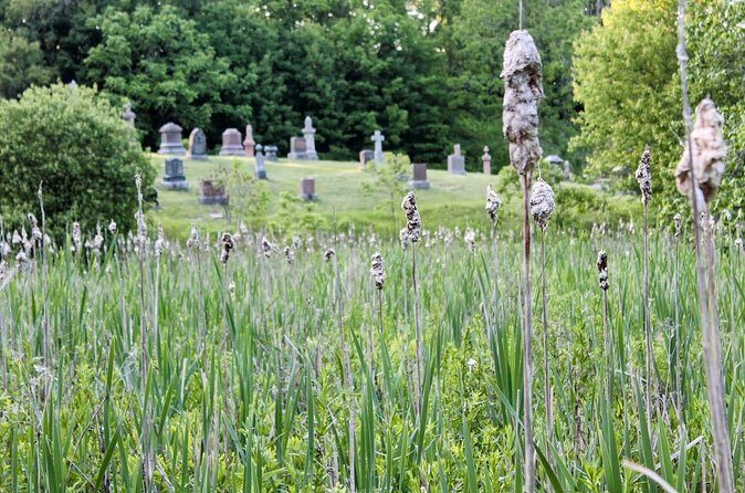 Layers of Natural History: Picton Nature Self-Guided Audio Tour - Who Should Consider This Tour?