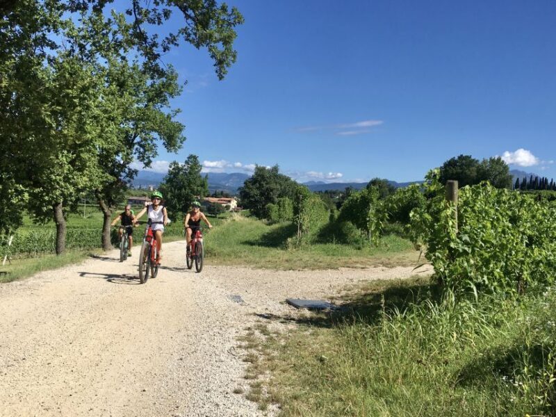 Lazise: Bike Tour and Wine Tasting - Key Points