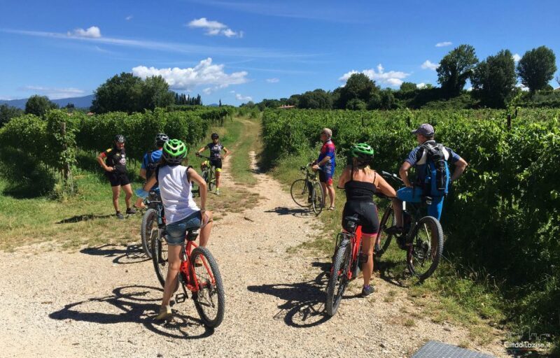 Lazise: Bike Tour and Wine Tasting - What to Expect from the Lazise Bike Tour and Wine Tasting
