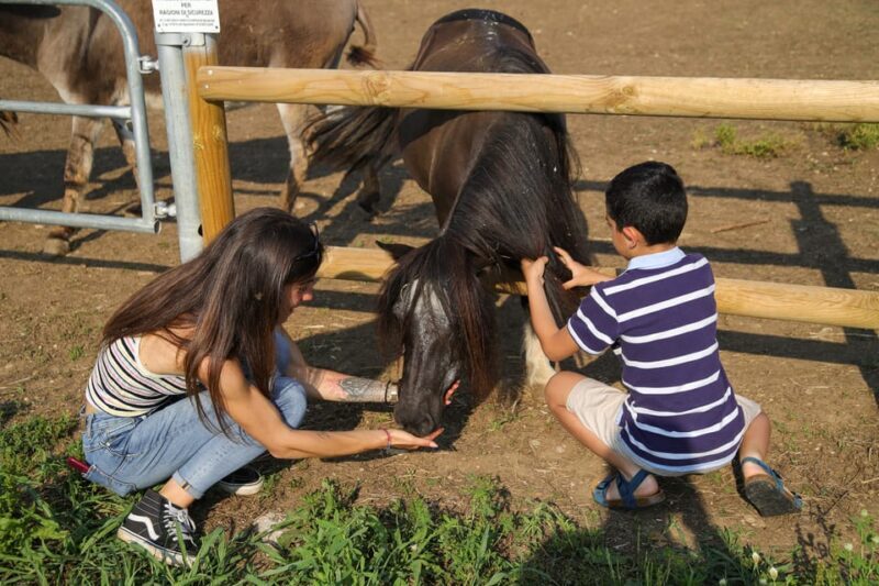 Lazise: Biodynamic Farm Tour and Natural Wine Tasting - Key Points