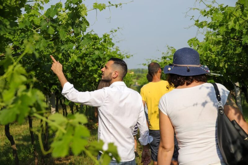 Lazise: Biodynamic Farm Tour and Natural Wine Tasting - The Food and Pairings