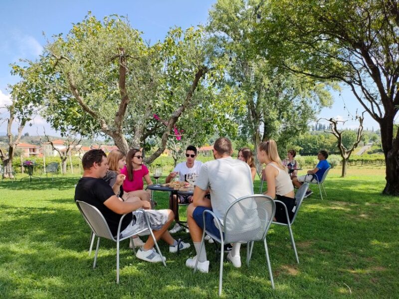 Lazise: Countryside e-Bike Tour with Wine Tasting - Key Points