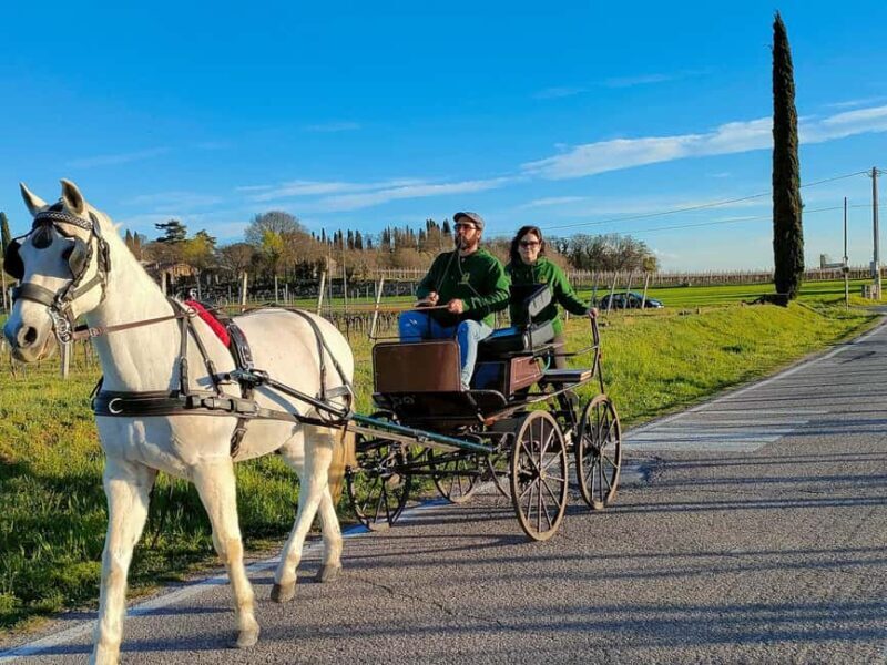 Lazise: horse carriage tour with tasting of local products - Key Points