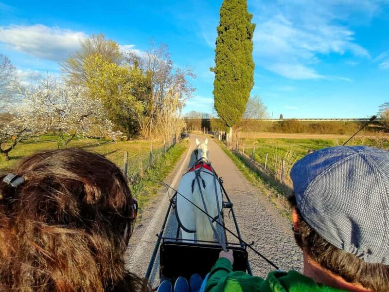 Lazise: horse carriage tour with tasting of local products - The Value of the Tasting Experience