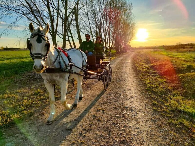 Lazise: horse carriage tour with tasting of local products - Practical Details and Considerations