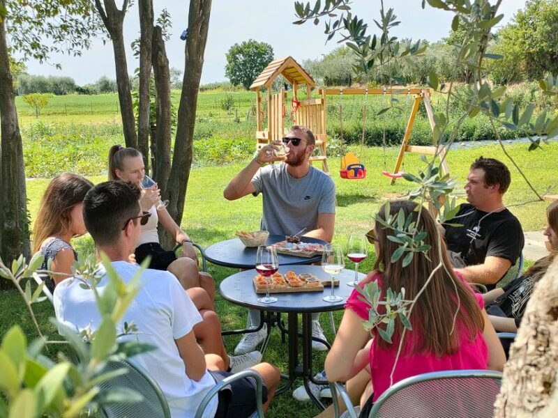 Lazise: Wine Tasting with Charcuterie and Cheese Board - The Wines and Food: Celebrating Local Flavors