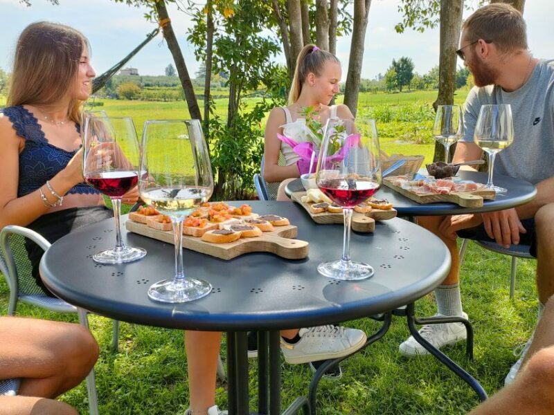 Lazise: Wine Tasting with Charcuterie and Cheese Board - The Reviews Speak for Themselves