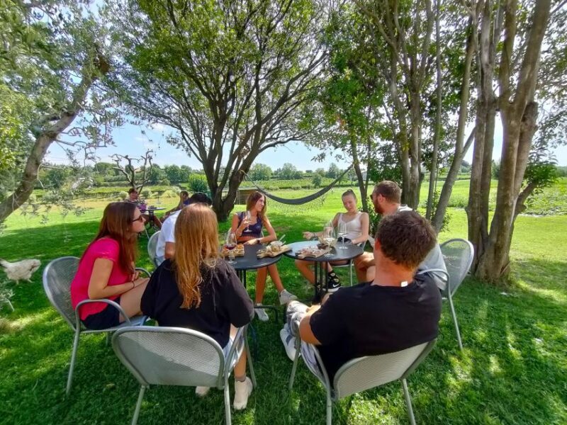 Lazise: Wine Tasting with Charcuterie and Cheese Board - Who Should Consider This Experience?