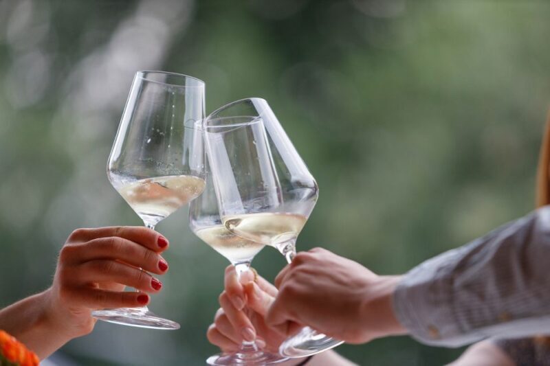 Lazise: Winery Tour with Garda Wines and Food Tasting - Who Should Consider This Tour?