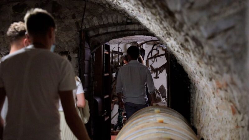 Lazise: Winery Tour with Garda Wines and Food Tasting - FAQ