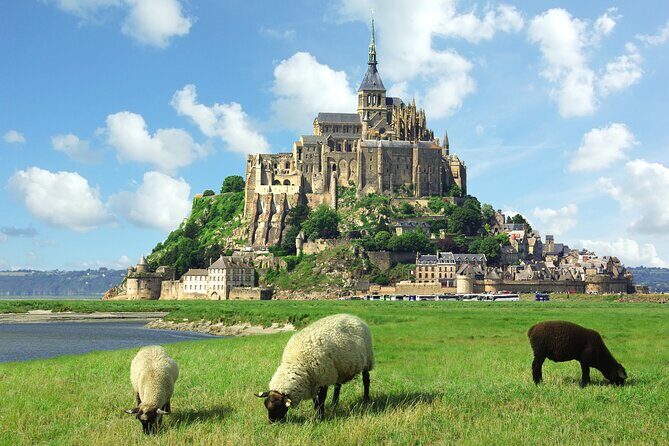 Le Havre to Mont Saint Michel: Small Group Private Tour - Final Thoughts
