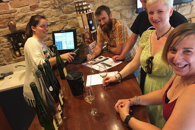 "Le petit Alsacien" Luxury Tour Local private friendly driver - Exploring the "Le petit Alsacien" Luxury Tour — Is It Worth It?