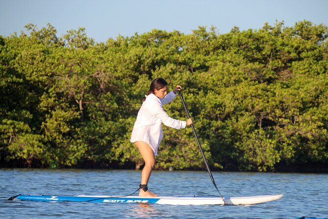 Learn Paddle Board and Explore the Mangroves of Progreso - Who Should Consider This Tour?