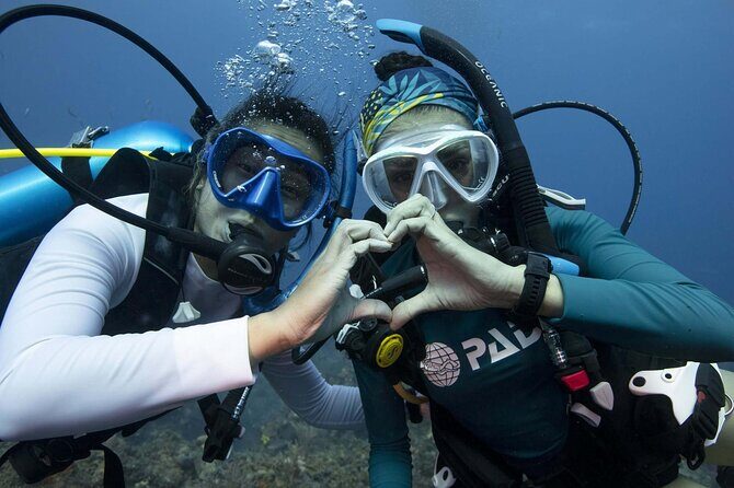 Learn Scuba Diving in Tenerife with Photos Included - Analyzing the Cost and Value