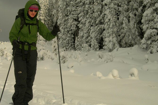 Learn to Cross Country Ski in Lake Louise - A Closer Look at the Experience