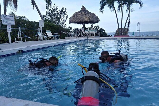 Learn to Scuba Dive with a Professional Instructor in Key Largo - All Inclusive - The Experience from Reviews