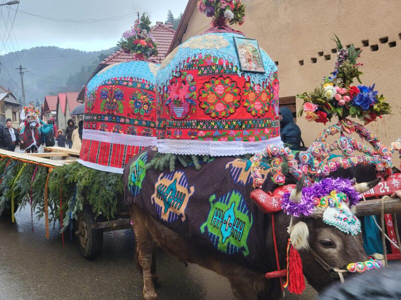 Learning toghether Transylvanian dances in Sibiu - What’s Valuable for You?
