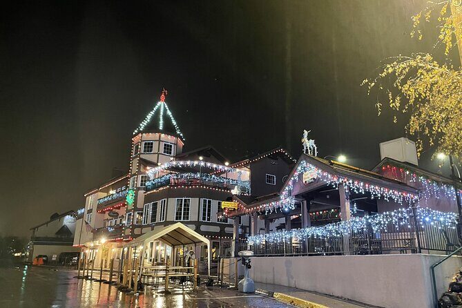 Leavenworth Christmas Lights Tour from Seattle - Who Is This Tour Best For?