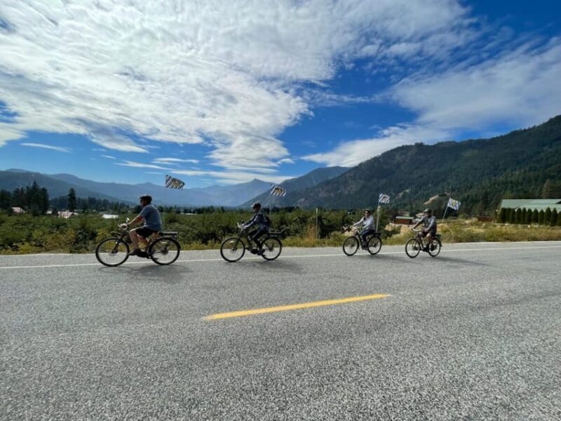 Leavenworth: Mountain Views Guided E-bike Tour - Durability and Pacing