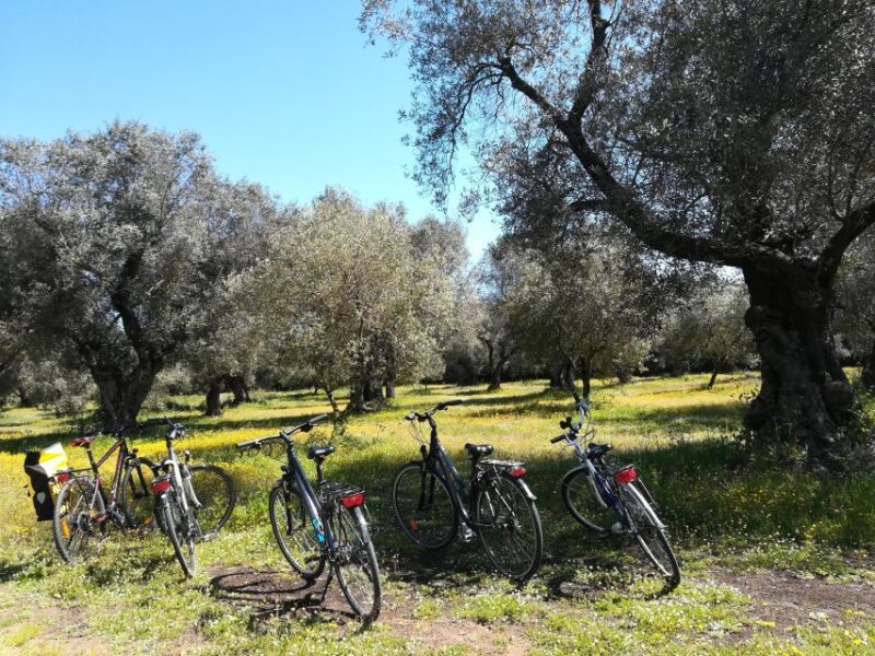 Lecce: Bike Rental (City, Trekking, E-Bikes) - FAQs