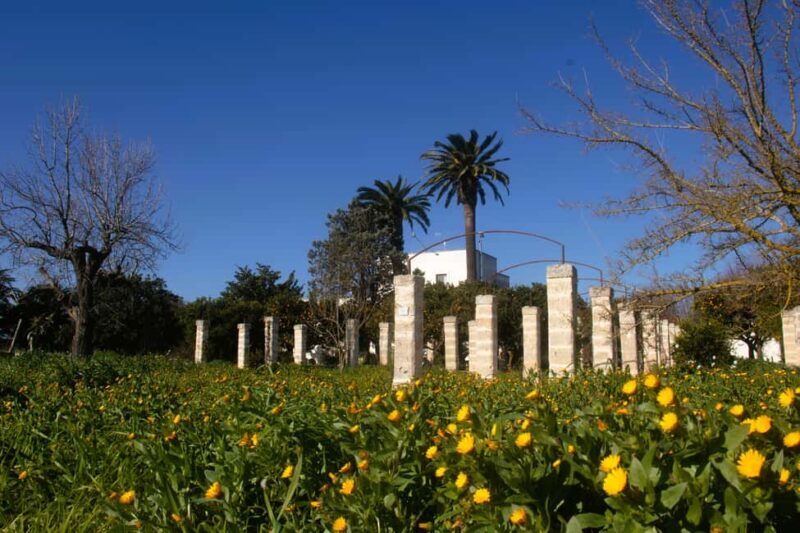 Lecce: Countryside Vineyard Walk & Wine Tasting - Key Points