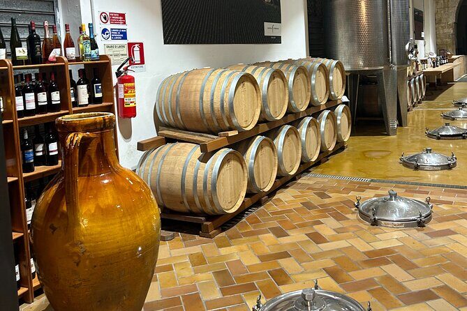 Lecce: E-Bike tour to Galatina with old olive mill & wine taste - Optional Tasting or Lunch in Galatina