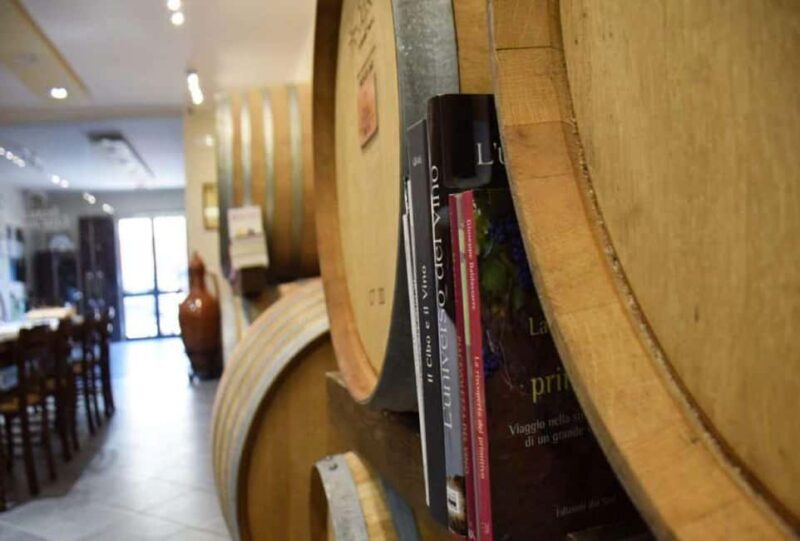 Lecce: Negroamaro Lands Winery Tour with Wine Tasting - Discover the Charm of Apulia’s Negroamaro Lands: A Practical Review of the Winery Tour Near Lecce