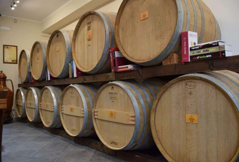 Lecce: Negroamaro Lands Winery Tour with Wine Tasting - Is It Worth It?