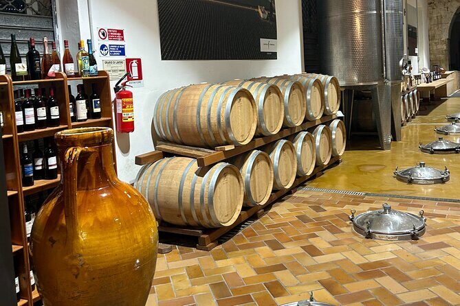 Lecce: Top Quality E-Bike Rental - What to Expect During Your Rental