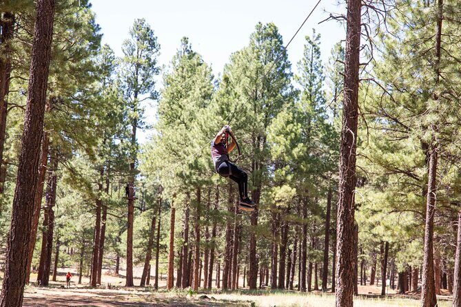 Ledgewood Adventure Course - The Reviews: What Participants Say