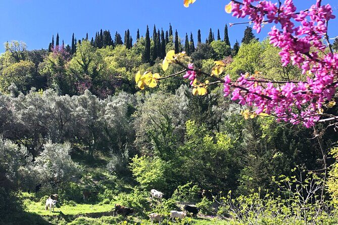 Lefkada: Mountain Gems Electric Fat Bicycle Tour & Tasting - Honest Review Summary