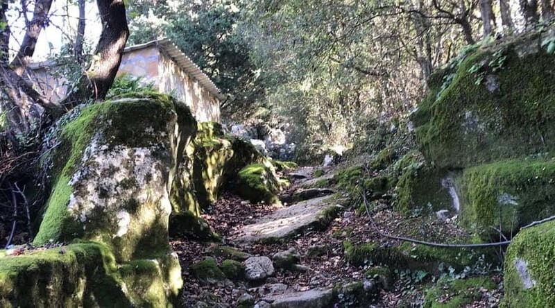 Lefkada: Path of Springs Hike with Olive Oil Tasting - Exploring Lefkada’s Spring-Fed Landscapes and Olive Heritage
