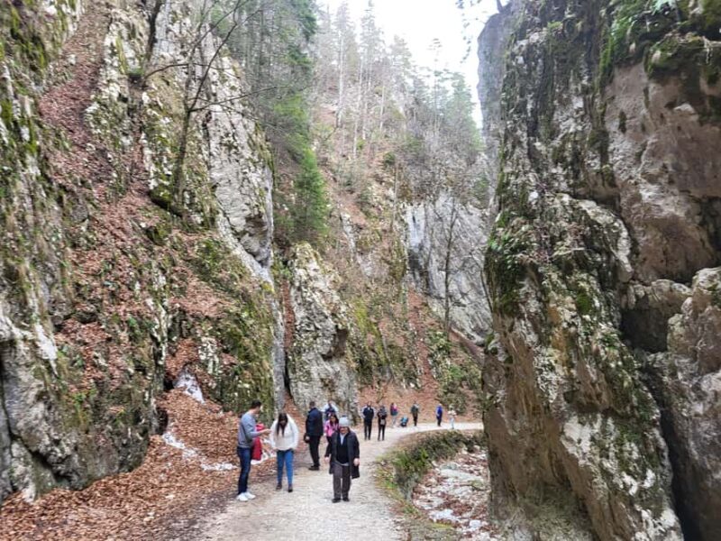 Legendary Transylvania - best version - Final Thoughts: Who Will Love This Tour?