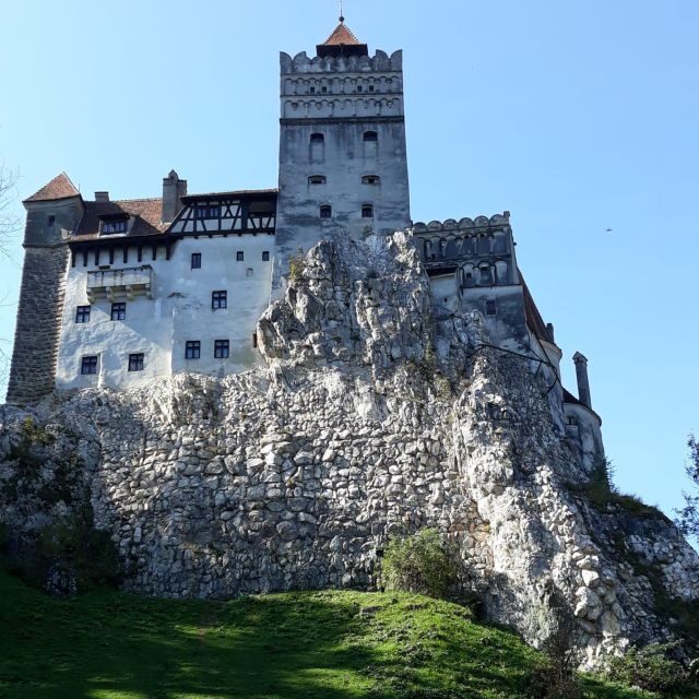 Legends&Wildlife Awaits: Dracula's Castle & Bear Sanctuary - What Could Be Better?