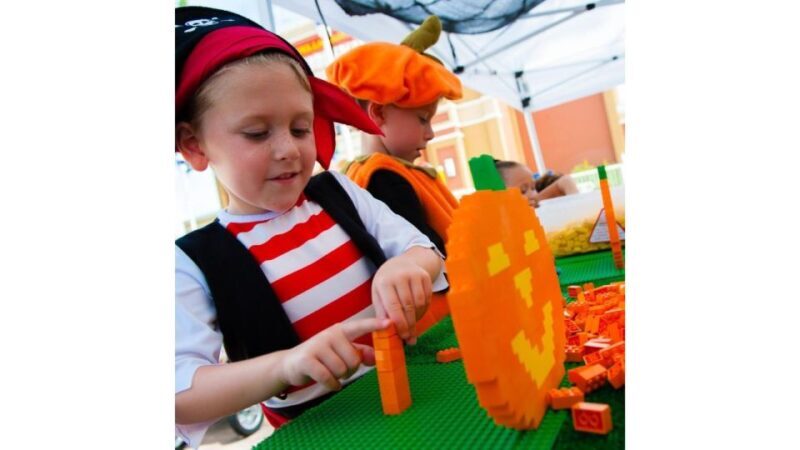 LEGOLAND California Resort: Theme Park 1-Day Admission - Practical Tips for Your Visit