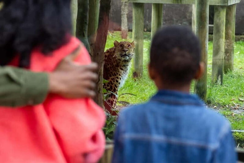 Leicestershire: Twycross Zoo Entry Ticket - Key Points