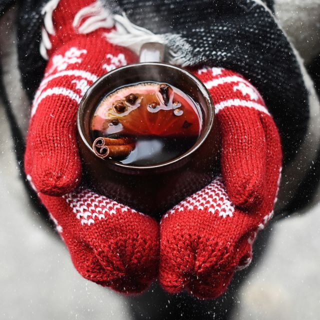 Leipzig: Mulled Wine Motorboat Tour - An In-Depth Look at the Experience