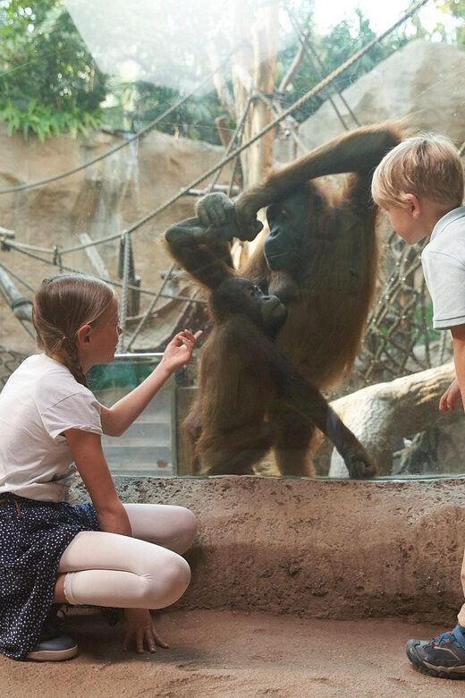 Leipzig Zoo: Entry Ticket - Key Points