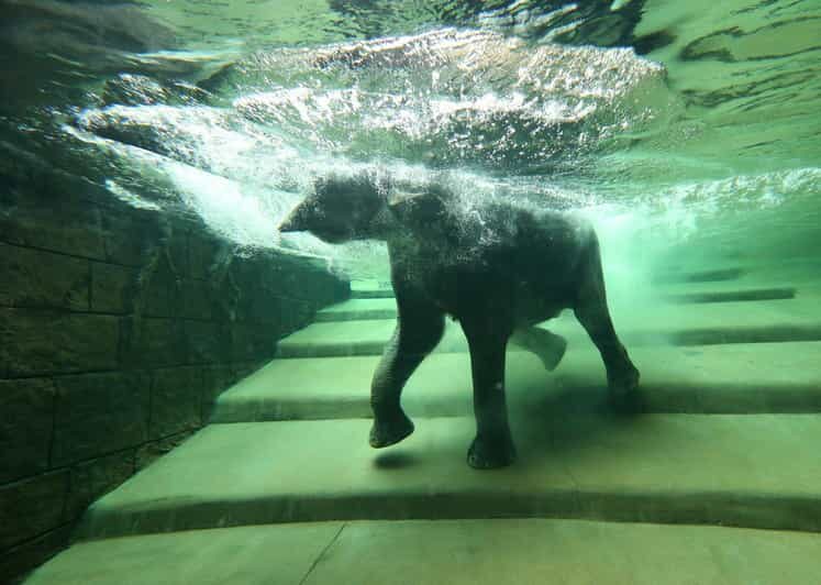 Leipzig Zoo: Entry Ticket - Thematic Worlds and Their Highlights