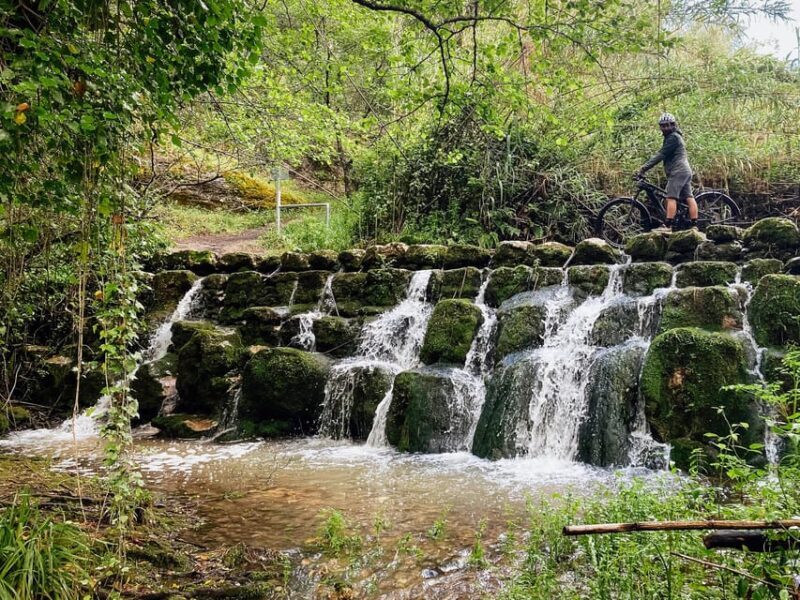 Leiria E-bike and Castel tour - Key Points