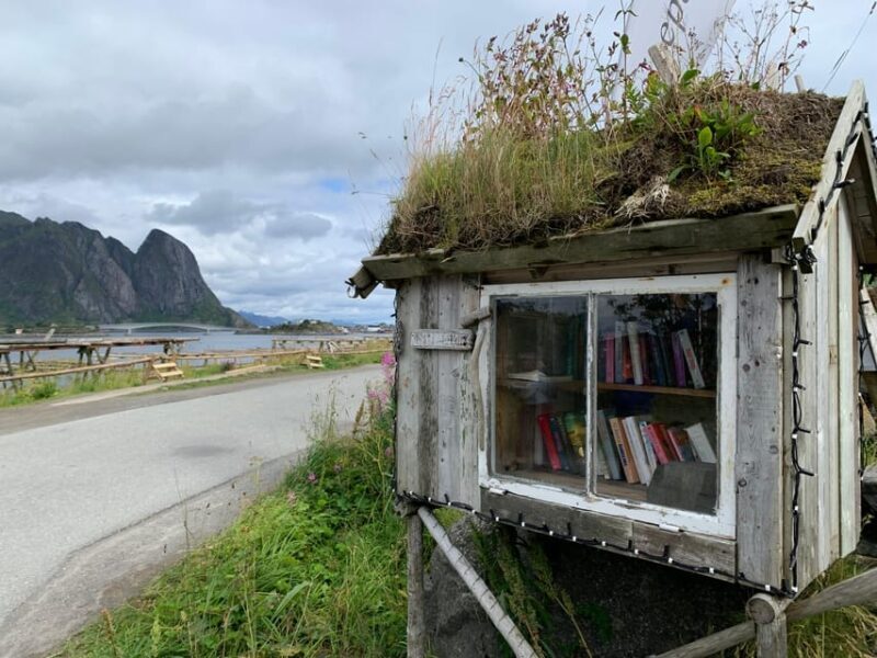 Leknes: 4 Hours Private Exclusive Car Sightseeing in Lofoten - Who Is This Tour Best For?