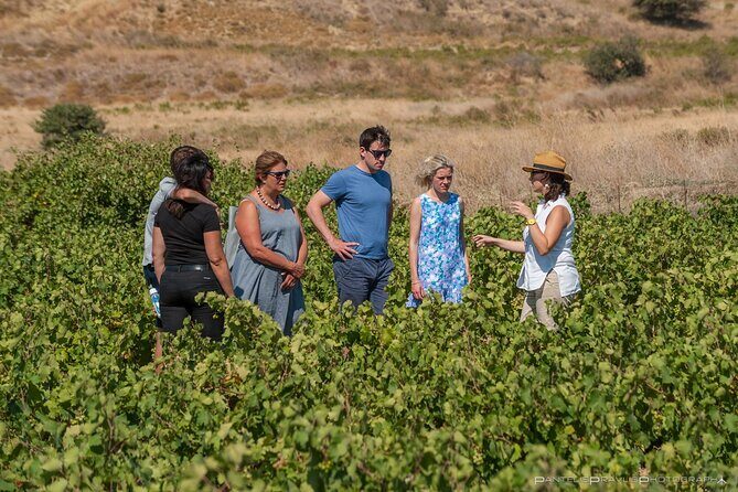 Lemnos wine tour - private tour - The Practical Side: What You Need to Know