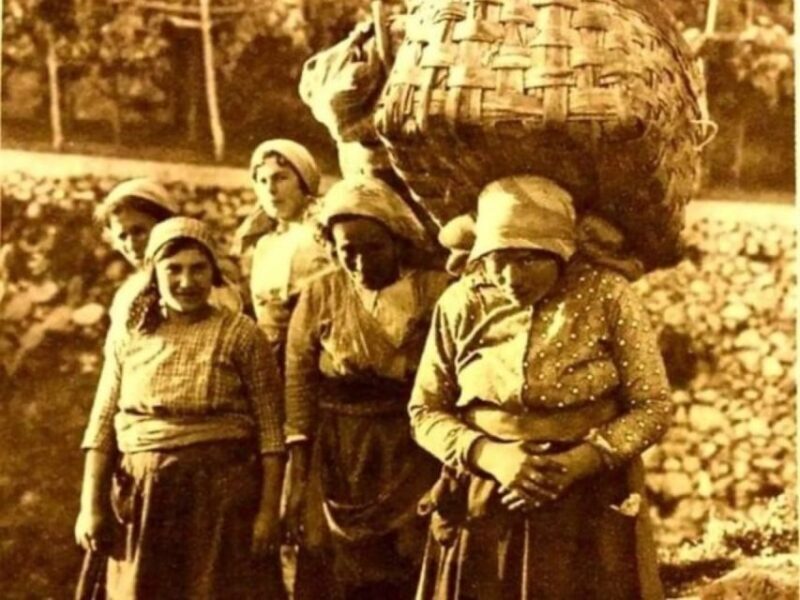 Lemon Experience with Limoncello demonstration - What to Expect from Your Lemon Experience Tour