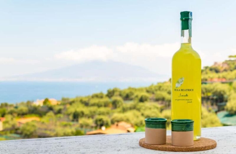 Lemon Grove Walk, Tastings, Aperitivo & Open Bar in Sorrento - Key Points